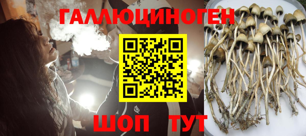 Зеленокумск  Псилоцибиновые грибы мухоморы  Вход с VPN 